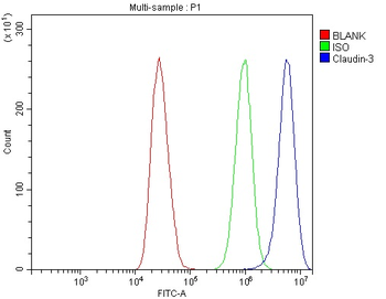 Claudin 3/CLDN3 Antibody