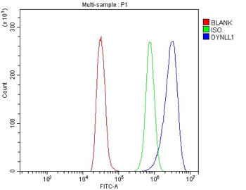 DYNLL1/PIN Rabbit Polyclonal Antibody