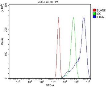 IL1RA/Il1rn Antibody