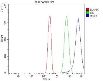MIEF1 Rabbit Polyclonal Antibody