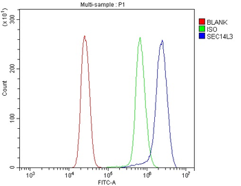 SEC14L3/TAP2 Antibody