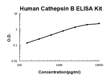 Human Cathepsin B Quick ELISA Kit