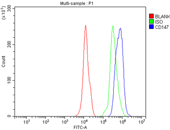 CD147/Bsg Antibody