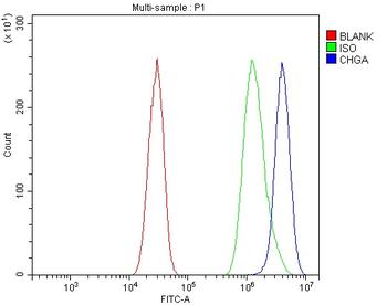 Chromogranin A/Chga Antibody