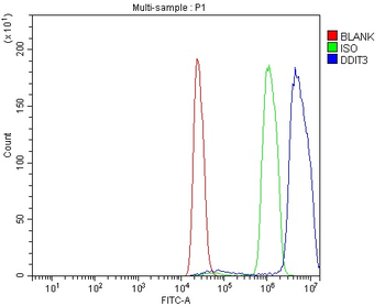 Ddit3 Rabbit Polyclonal Antibody