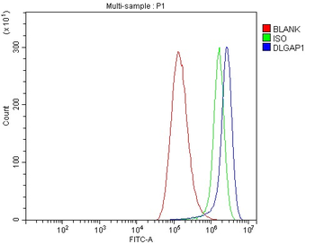 DLGAP1 Rabbit Polyclonal Antibody