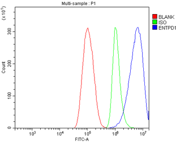 CD39/ENTPD1 Antibody
