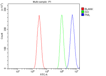 PML Protein/Pml Rabbit Polyclonal Antibody