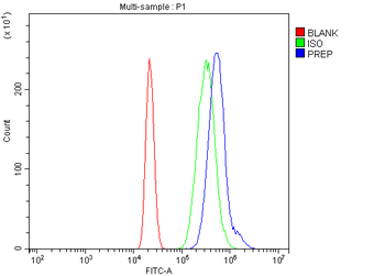 Prolyl Endopeptidase/PREP Antibody