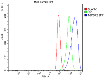 TGFBR2 Antibody (monoclonal, 2F11)