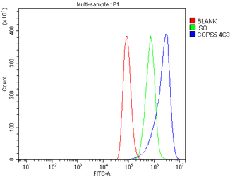 JAB1 Antibody (monoclonal, 4G9)