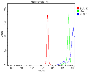 KHSRP Antibody