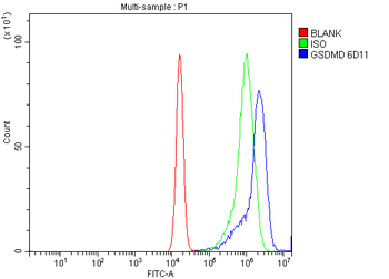 GSDMD Mouse Monoclonal Antibody