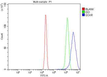 GCKR Rabbit Polyclonal Antibody
