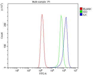 Integrin linked ILK Antibody