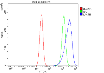 LACTB Rabbit Polyclonal Antibody
