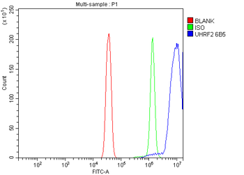 NIRF Mouse Monoclonal Antibody
