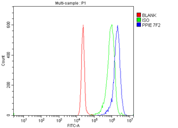 Cyclophilin E/PPIE Mouse Monoclonal Antibody
