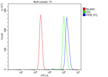 Cyclophilin E/PPIE Mouse Monoclonal Antibody