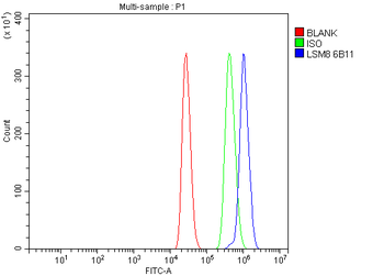 LSM8 Antibody (monoclonal, 6B11)