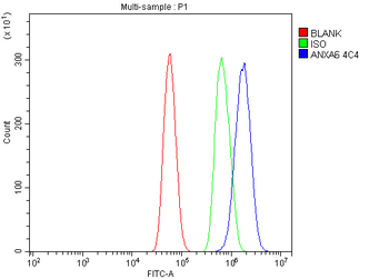 Annexin VI Antibody (monoclonal, 4C4)