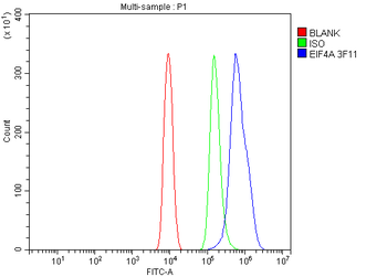 EIF4A1 Antibody (monoclonal, 3F11)