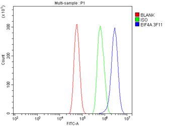 EIF4A1 Antibody (monoclonal, 3F11)