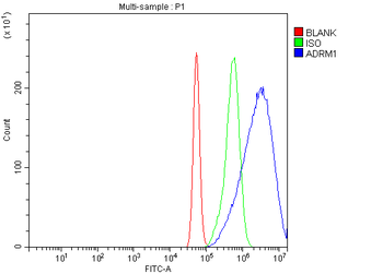 ADRM1/ARM-1/ARM Rabbit Polyclonal Antibody