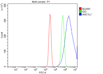 IRBIT/AHCYL1 Rabbit Polyclonal Antibody