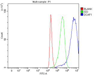 VPRBP/DCAF1 Rabbit Polyclonal Antibody