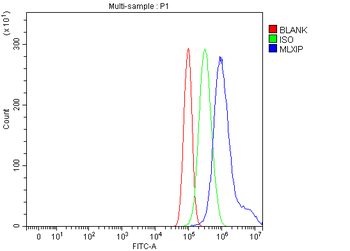 MLX-interacting protein/MLXIP Antibody