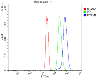 PITRM1 Antibody