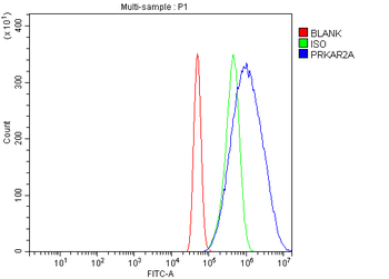 PKA R2/PKR2/PRKAR2A Rabbit Polyclonal Antibody