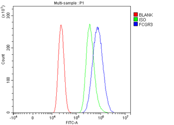 CD16/Fcgr3 Antibody