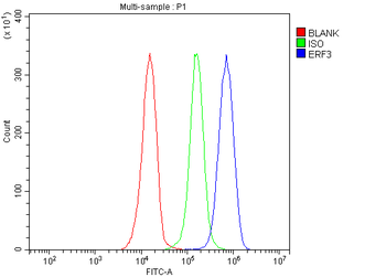 GSPT1,2/GSPT1 Rabbit Polyclonal Antibody