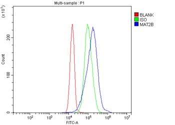 MAT2B/TGR Rabbit Polyclonal Antibody