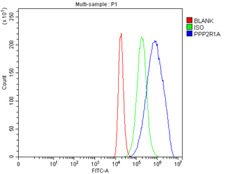 PPP2R1A Antibody