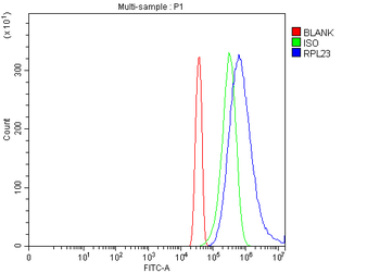 RPL23 Antibody