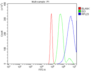 RPL23 Antibody