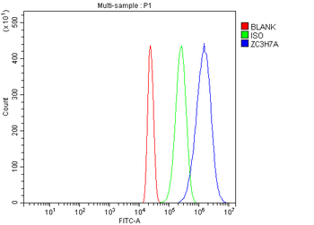 ZC3H7A Rabbit Polyclonal Antibody