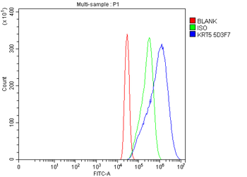 Cytokeratin 5 Antibody (monoclonal, 5D3F7)