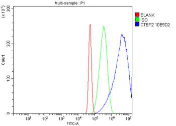 CTBP2 Antibody (monoclonal, 10E9D2)