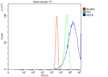 MUC4 Rabbit Polyclonal Antibody