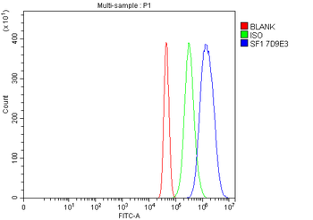 splicing factor 1 Antibody (monoclonal, 7D9E3)