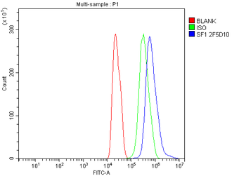 splicing factor 1 Antibody (monoclonal, 2F5D10)