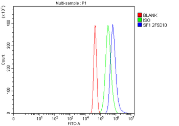 splicing factor 1 Antibody (monoclonal, 2F5D10)