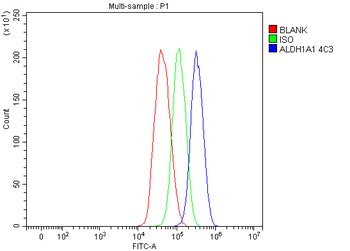ALDH1A1 Mouse Monoclonal Antibody