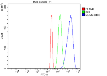 MCM6 Antibody (monoclonal, 3I4C8)