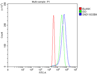 SND1 Mouse Monoclonal Antibody