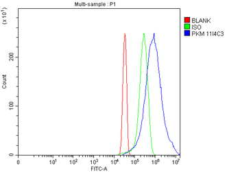 PKM2 Mouse Monoclonal Antibody